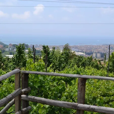 B&B Green Valley-3